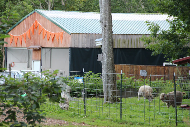 Searsport Shores Ocean Campground by null