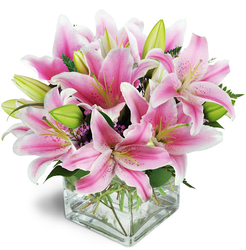 Angela's Red Flowers - Thumbnail