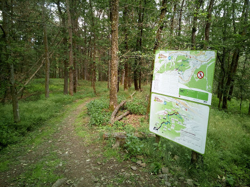 Flowtrial - Visual