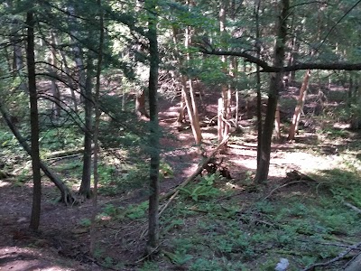Photos of Pine River Paddlesport Center