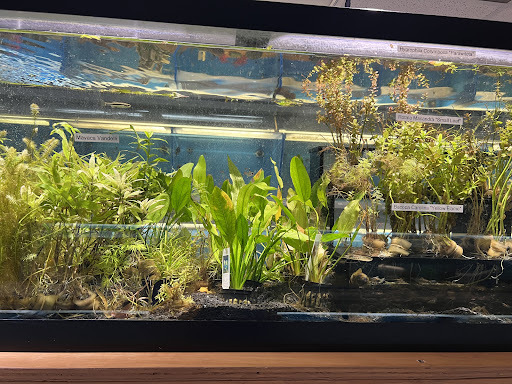 Salty Fish Aquariums - Thumbnail