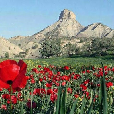 Photos of Forest Park Zibashahr