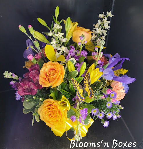 Blooms'n Boxes - Visual