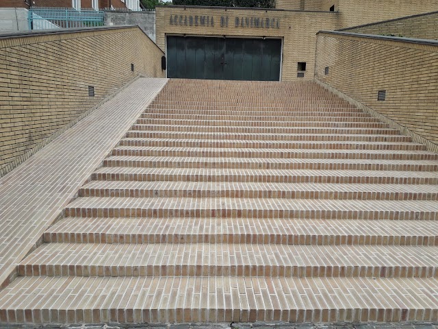 Accademia di Danimarca