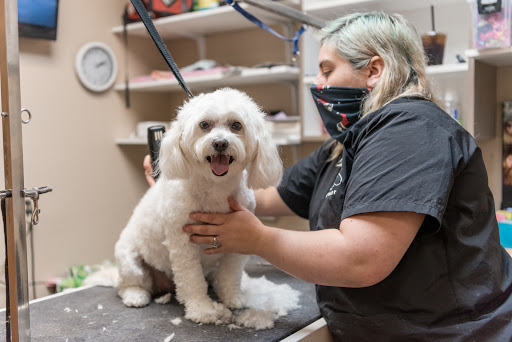 The Pet Hospitals Germantown - Thumbnail