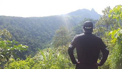 Photos of Air Terjun Selolapis
