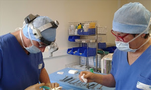 Photo n°8 de Dr Eric BONAFOS Chirurgien Esthétique Montpellier Chirurgie de la face et du cou à Castelnau-le-Lez (Chirurgien esthétique)