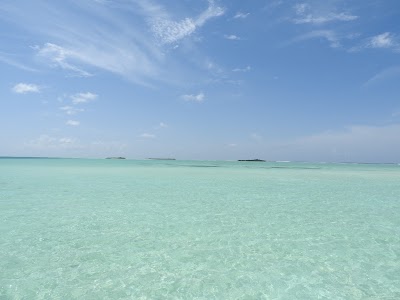 Photos of Hakuraa