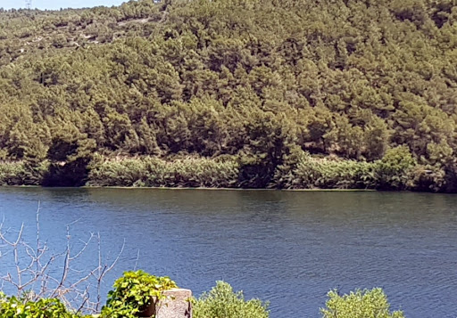 Mas Gineu Panta Foix