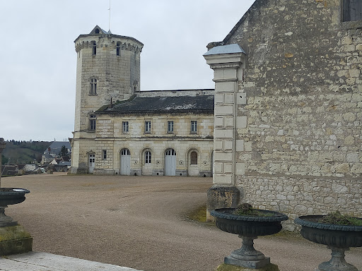 Photo de Résidence du Château à Saint-Aignan (41110)