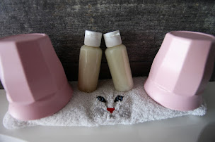 Photo n°22 de le chat botte 77 à Jossigny (Hôtel)