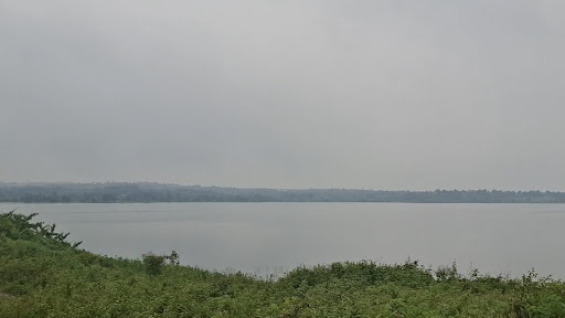Why professionals are choosing land investment near Mumbai over apartments: post image