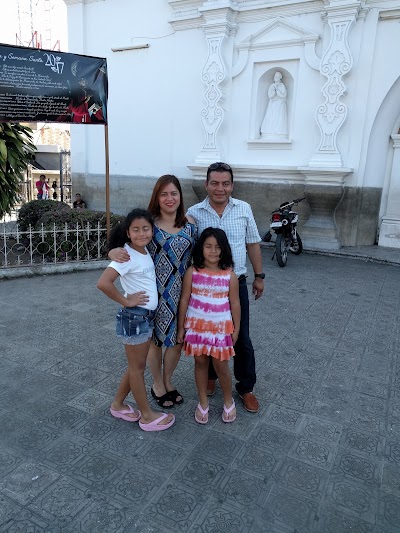 Photos of Arbol de Guayacan
