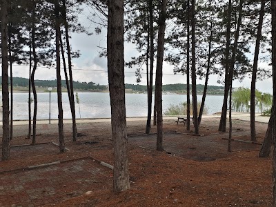 Pelitözü Pond