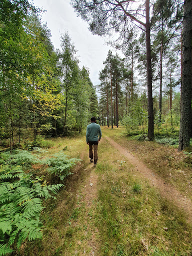 Rynningevikens Naturreservat, Myrö - Thumbnail