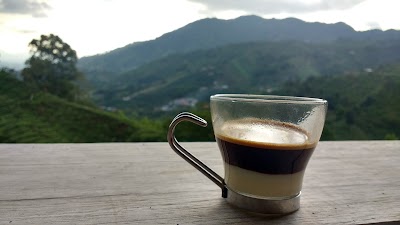Photos of Cafe Don Jose