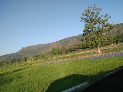 Photos of Pasar Pundong