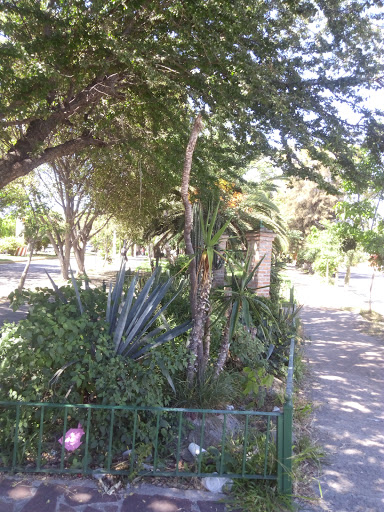 Tabachines Garden - Thumbnail
