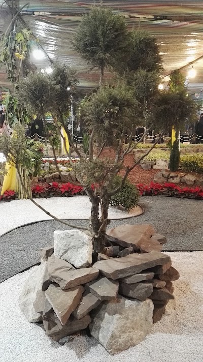 Photos of پارک پردیس بابل