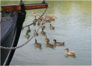 Photo n°14 de GITE LE RUISSEAU à Castelsarrasin (Gîte)