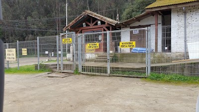 Photos of Sociedad Agr&iacute;cola Avicola San Sebastian