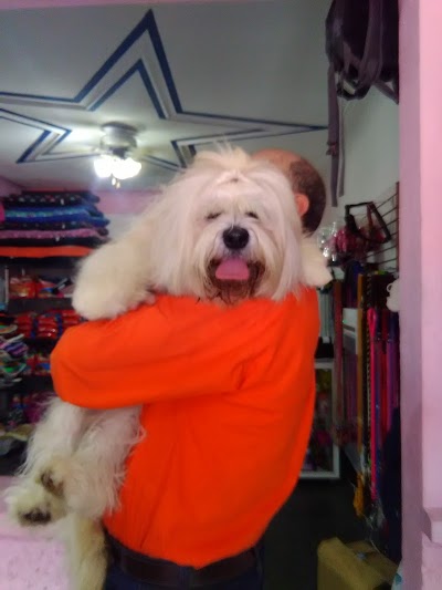 Photos of Pet'Spa