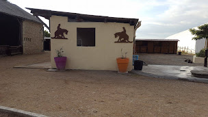 Photo n°2 de LES CRINS DE DERCE à Dercé (Pension pour chevaux)