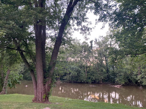 Morrow's Meadow - Visual