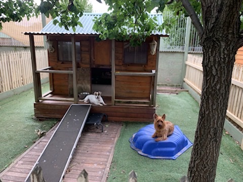 Hallam Park Pet Resort - Thumbnail