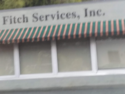 Fitch Services - Visual