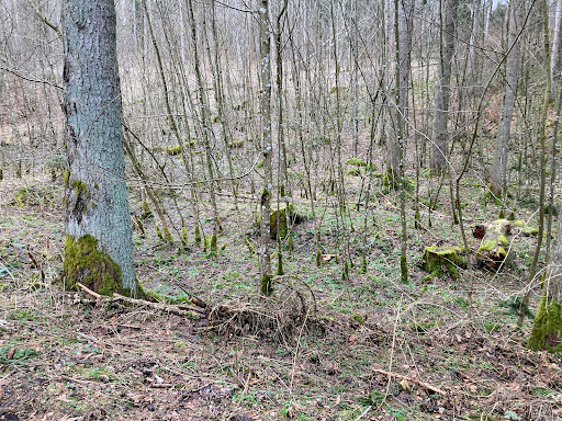 Rauhe Steige Nature Reserve - Thumbnail