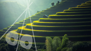 Photo n°1 de Triboovoyage à Chaux-la-Lotière (Agence de voyages)