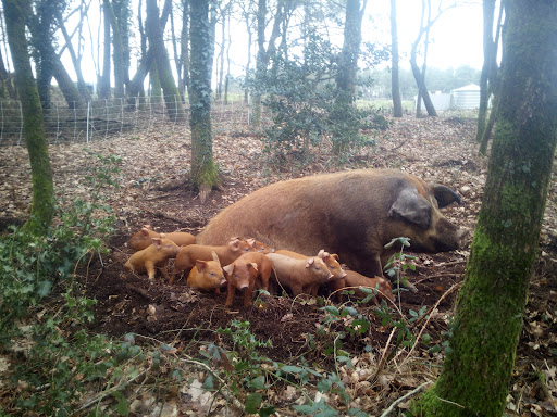 La ferme de Trévero