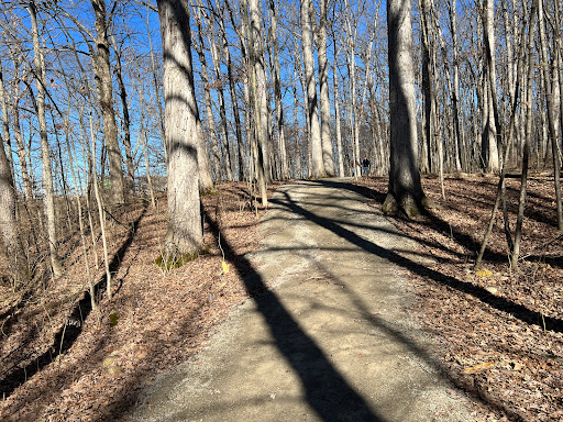 Maclvor Woods Loop - Visual