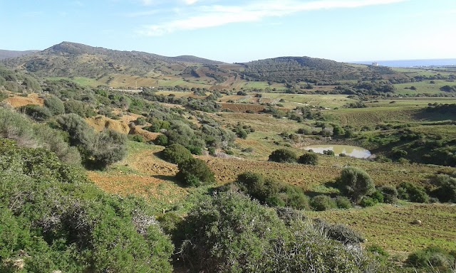 Grottes El Haouaria