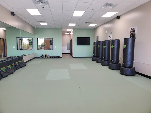 Premier Martial Arts Addison - Thumbnail