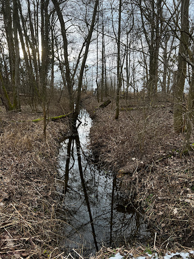Aussichtsplattform OST Eriskircher Ried - Thumbnail