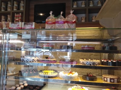 Photos of Cooper's