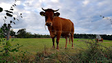 photo de Ferienhaus Starenweg 8 à Schramberg