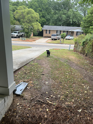 City of Madison Animal Control