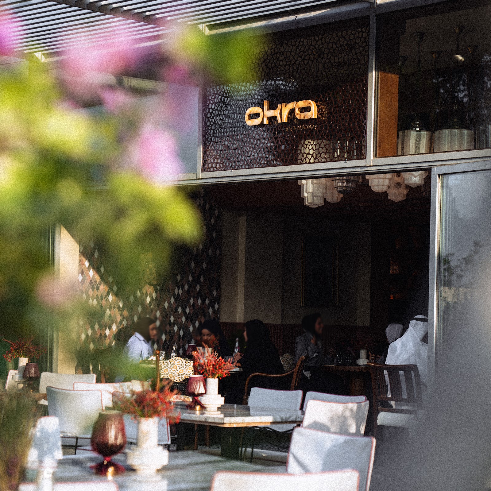 اوكرا - صورة 2