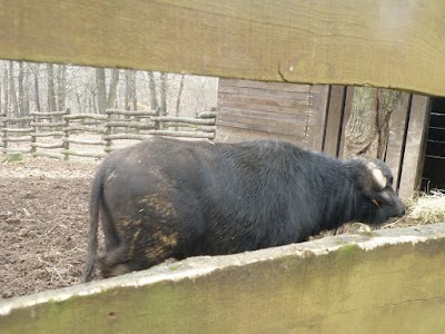 Photos of Budakeszi Wildlife Park