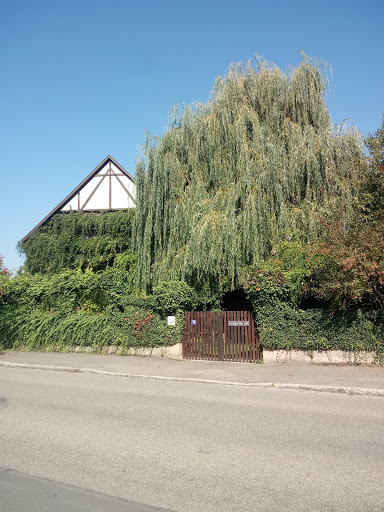 Riedgarten - Visual