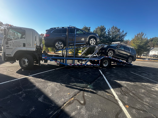 CarGo Car Transportation Service - Thumbnail