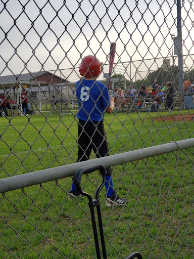 Dixie Youth Fields - Visual