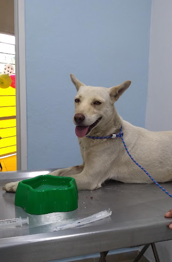 Clínica Veterinaria SOGA