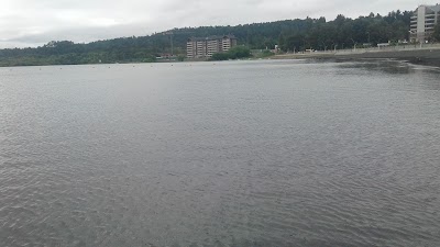 Photos of Playa Villarrica Pucara