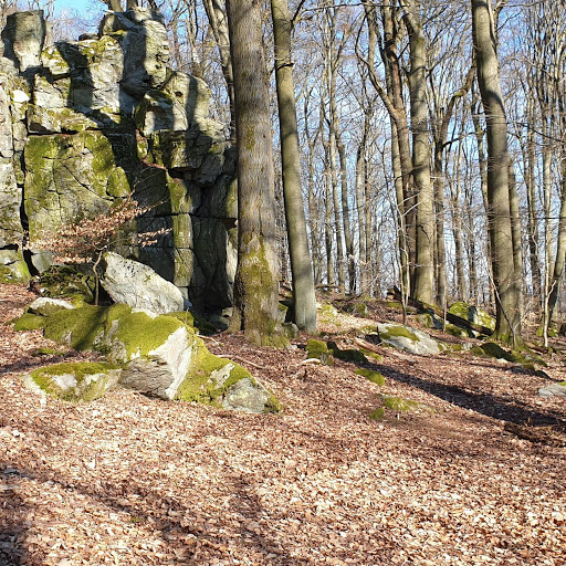 Malberg - Visual