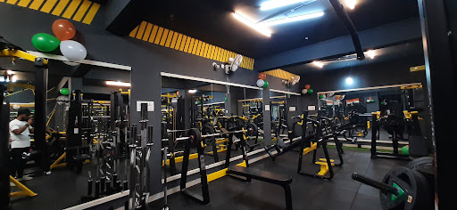 Ironfist unisex gym