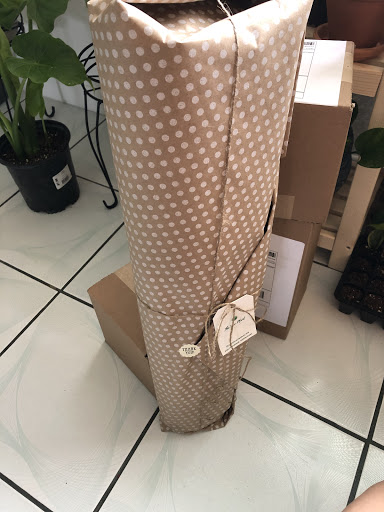 Thevineplant - Visual